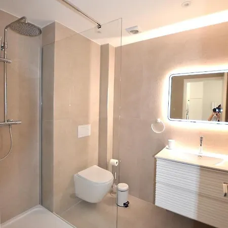 Grand Cormoran Avec Terrrasse *