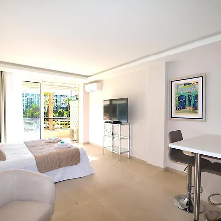 Grand Cormoran Avec Terrrasse *